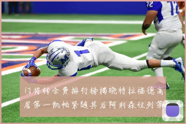 门将转会费排行榜揭晓特拉福德高居第一凯帕紧随其后阿利森位列第三