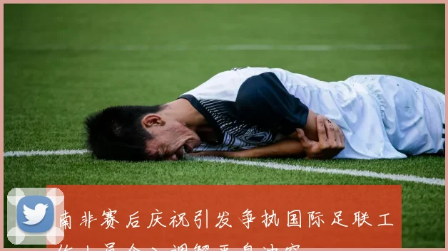 南非赛后庆祝引发争执国际足联工作人员介入调解平息冲突